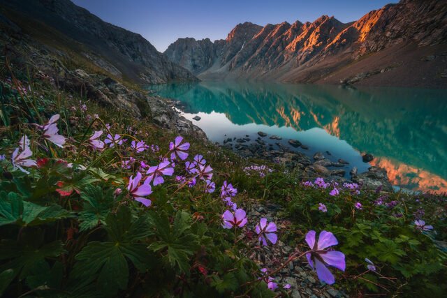 alakul_1_40